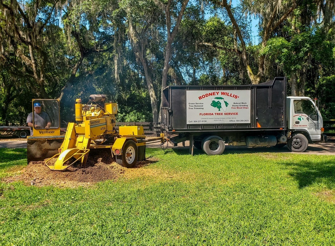 Rodney Willis Florida Tree Service